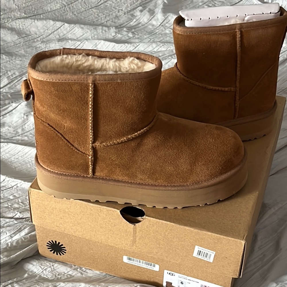 New In Box size 7  UGG Classic Short Platform Boots in Chestnut Never worn